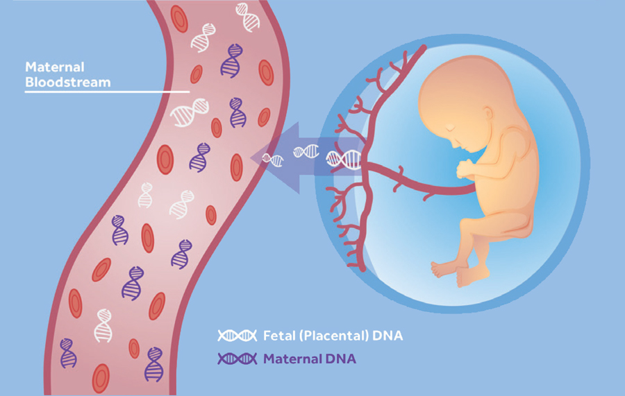 Next-Generation-Sequencing-(NGS)